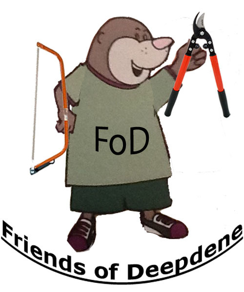 Friends of Deepdene logo