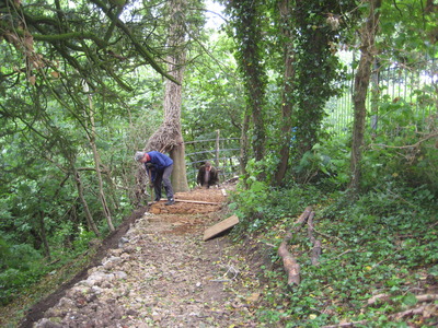 path surfacing by Martin and FoD