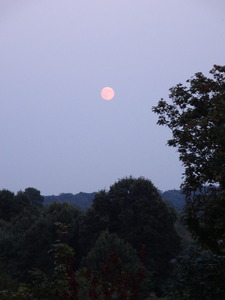 Full moon (nearly) from terrace 17 Aug