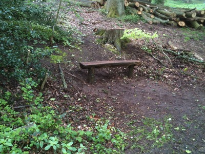 Rustic Bench