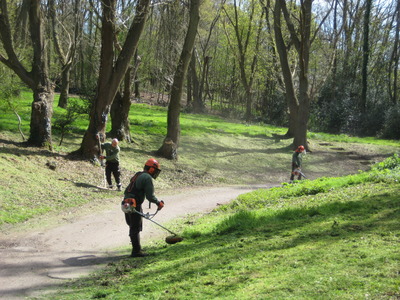 FoD at work on 20 April, near Punchbowl lane