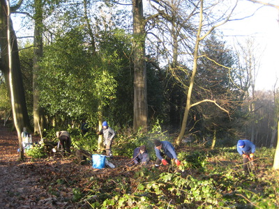 starting a fire to get rid of a lot of holly branches