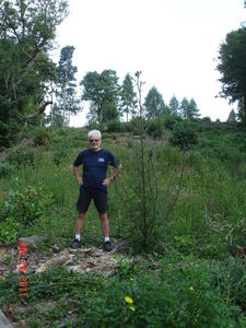 Thistle (on the right)