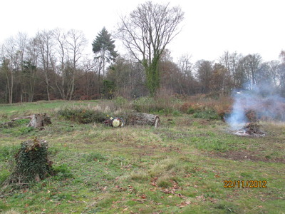Scrub clearance adjacent to Golf Course