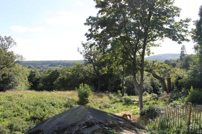 view south from above the mausoleum