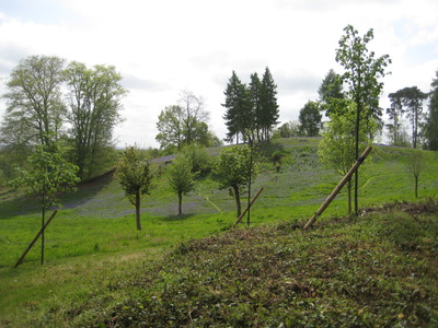 FoD branches out into tree planting