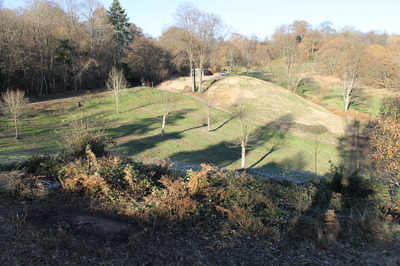 view across the park - recent FoD bonfire in left foreground