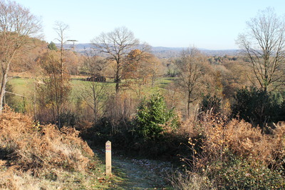 The trail, looking toward Reigate