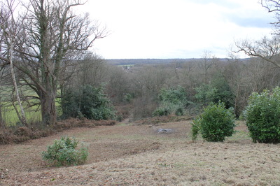 southern slope after recent clearance by FoD