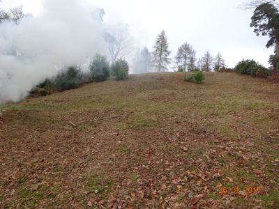 Slope to right of mausoleum after clearance