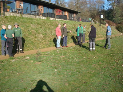 Planting near Clubhouse-initial discussions