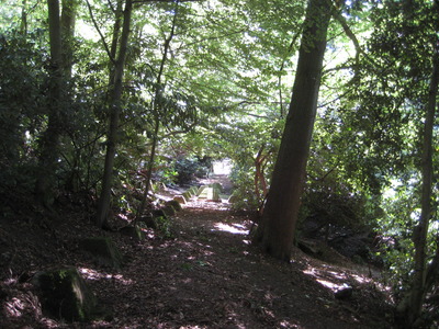 east side contour path looking S, after clearance by FoD over the past year