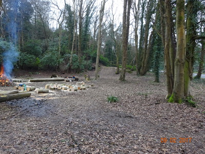 Part cleared site of proposed car park 9 Feb (the stumpy logs were pinched a few days later)