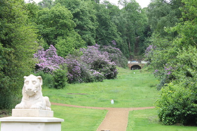 30 May- If Coady would turn round he'd see a great flower display