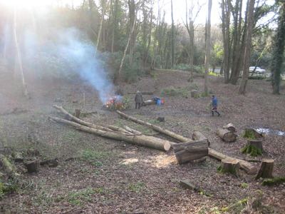 17 Jan. FoD burning resulting felled trees