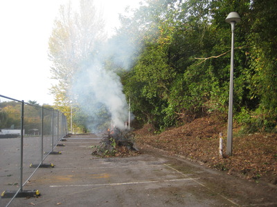 Pathway clearance to tunnel and ice house