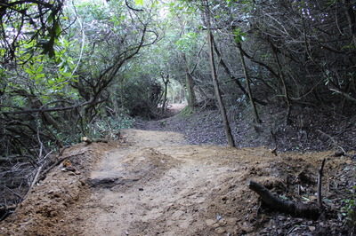 levelling of tree stump earth done on 16 january - path above middle walk