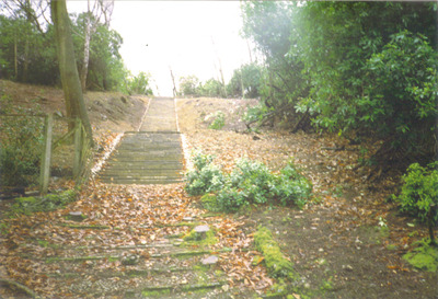 Cobble Steps looking up