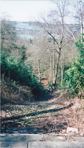 Looking down Terrace steps 28/3/1999