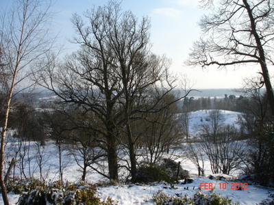 View to Chart Park