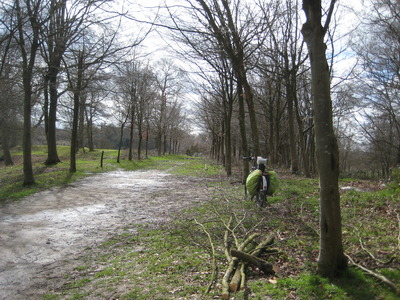 FoD high pruning the trees