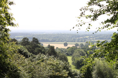 the view south from the terrace - South Downs on the horizon