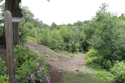 June - some scrub chopping along here by FoD this year