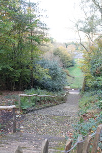 rustic handrail erected by FoD and SWT