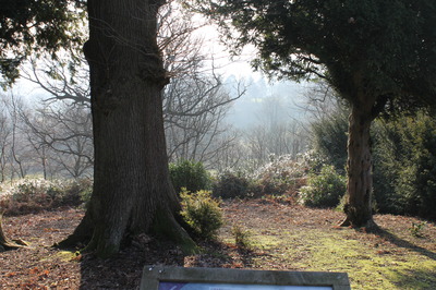 Rhodos cut and burnt on 16 january; view towards mausoleum