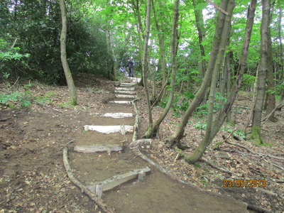 Southern Slopes Steps later