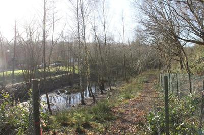 another view of the pond