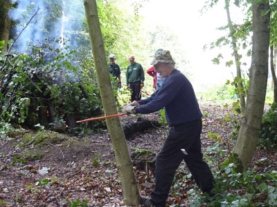 El Commandante tackles a tree in The Glory Woods