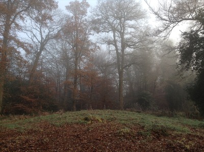 Misty morning at the barrow