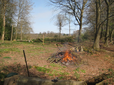 15 April, clearing felled trees