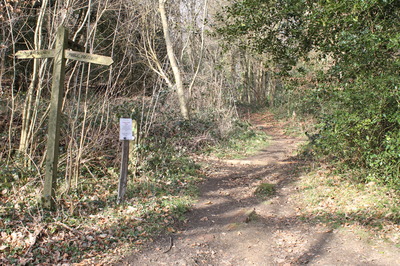 risers put in path to prevent it channelling water