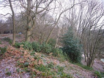 Deepdene Terrace Slope 6/12/12