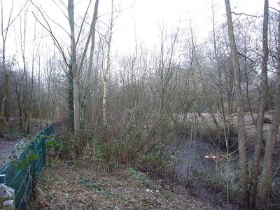 N Holmwood pond (before) 12/12/12