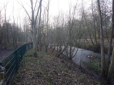 N Holmwood pond (after) 12/12/12