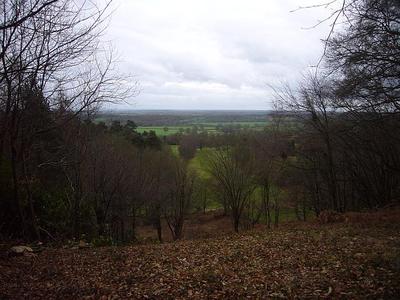 Deepdene Terrace View - Dec 2011