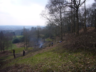 Clearing Brash at Deepdene Terrace - Before (27/3/13)