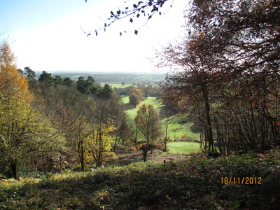 Deepdene Terrace South View - Nov 2012