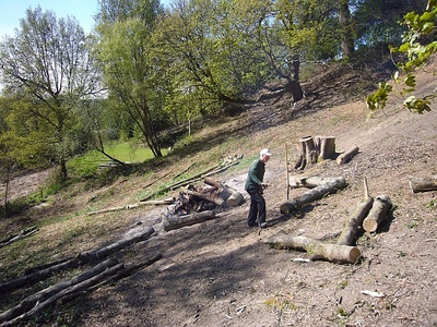 Clearing More Brash at Deepdene Terrace (1) - After (2/5/13)