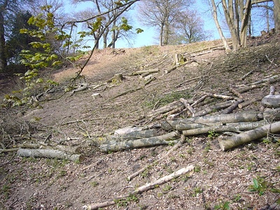 Clearing More Brash at Deepdene Terrace (2) - Before(1/5/13)