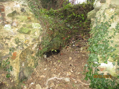 Outside Cellar (1)