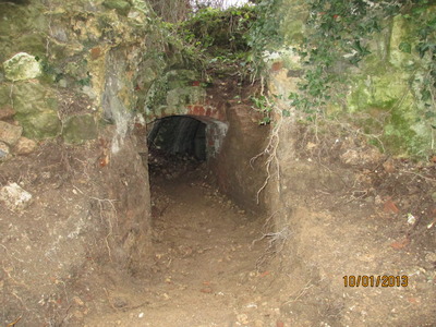 Outside Cellar (2)