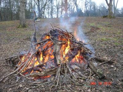 Bonfire (2)