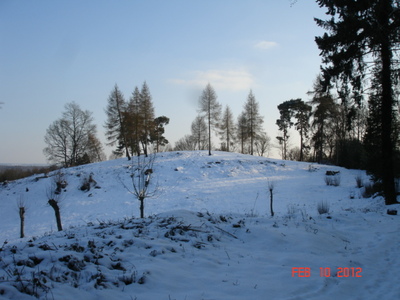 Winter Snow (1)