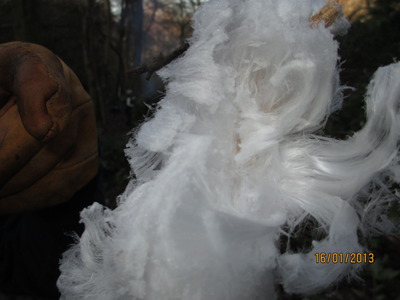 Frost Flowers (2)