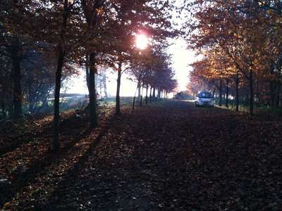 The avenue as the sun descends