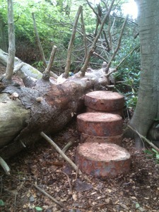 Log Steps (1)